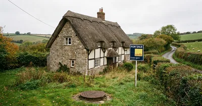 Buying a house with a septic tank